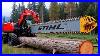 Extreme_Dangerous_Fastest_Big_Chainsaw_Cutting_Tree_Machines_Monster_Stump_Removal_Excavator_6_01_dmvm